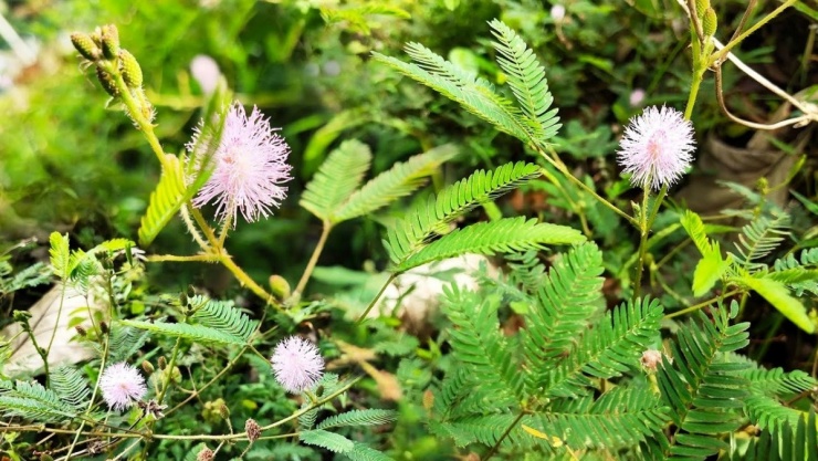 (Ảnh minh họa: VietNamNet)