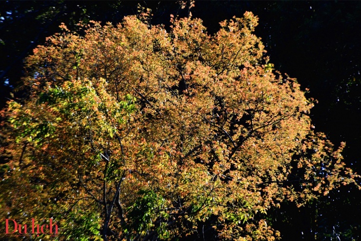 Hoàng hôn đầy chất thơ ở thiên đường nghỉ dưỡng Măng Đen - 5