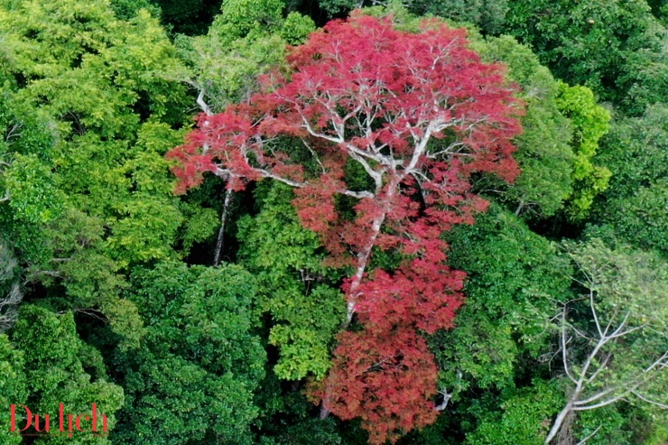 Hoàng hôn đầy chất thơ ở thiên đường nghỉ dưỡng Măng Đen - 7