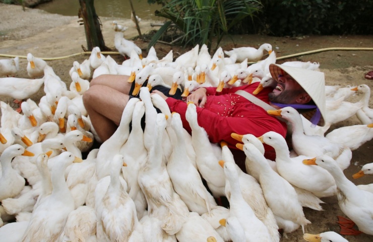 Khách Tây thử cảm giác được đàn vịt vây quanh 'massage' - 7