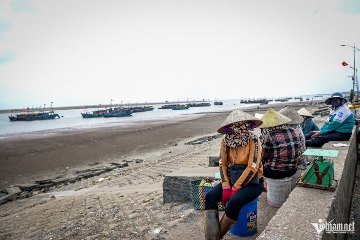 Cảnh khác lạ tại bến cá nổi tiếng Ninh Bình - 7