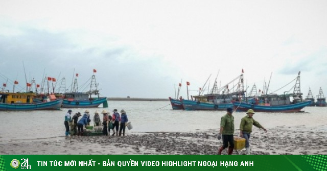 Cảnh khác lạ tại bến cá nổi tiếng Ninh Bình