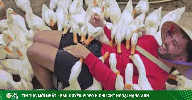 Khách Tây thử cảm giác được đàn vịt vây quanh 'massage'