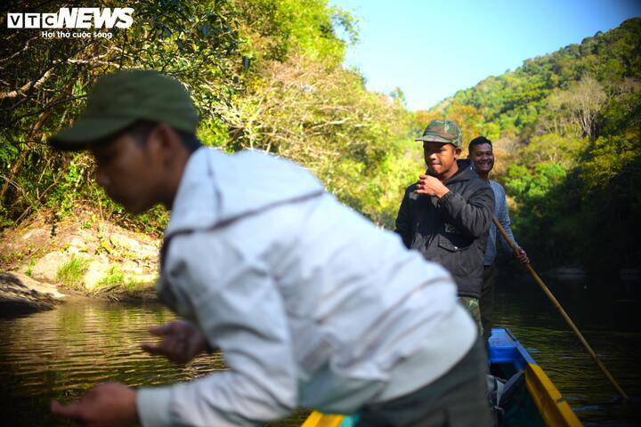 Ngược dòng sông Krông Nô săn loài cá quý hiếm ở Lâm Đồng cùng bà con K'Ho - 2