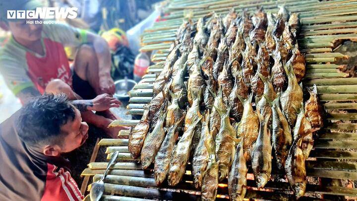 Ngược dòng sông Krông Nô săn loài cá quý hiếm ở Lâm Đồng cùng bà con K'Ho - 11