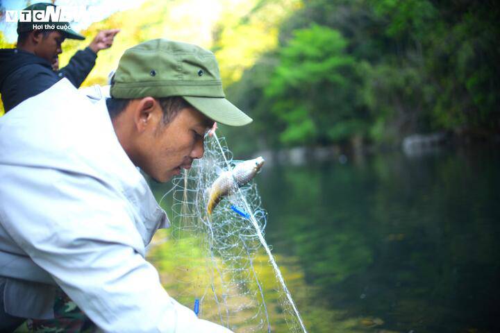 Ngược dòng sông Krông Nô săn loài cá quý hiếm ở Lâm Đồng cùng bà con K'Ho - 16