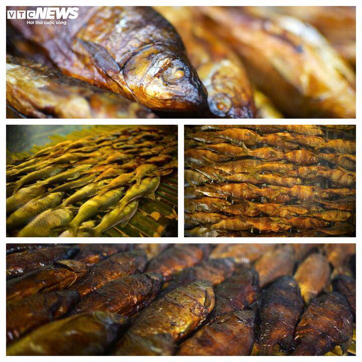 Ngược dòng sông Krông Nô săn loài cá quý hiếm ở Lâm Đồng cùng bà con K'Ho - 13