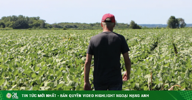 Nhiều nông dân Mỹ có nguy cơ phá sản vì ảnh hưởng xung đột Trung Đông