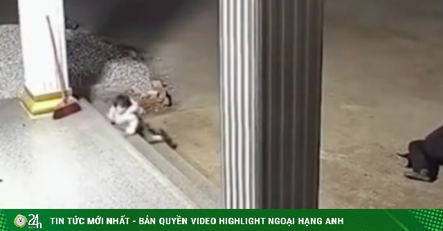 Clip gây 'bão' với cảnh ông bị ngã, em bé vội vàng bò tới để đỡ ông