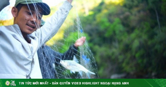 Ngược dòng sông Krông Nô săn loài cá quý hiếm ở Lâm Đồng cùng bà con K'Ho