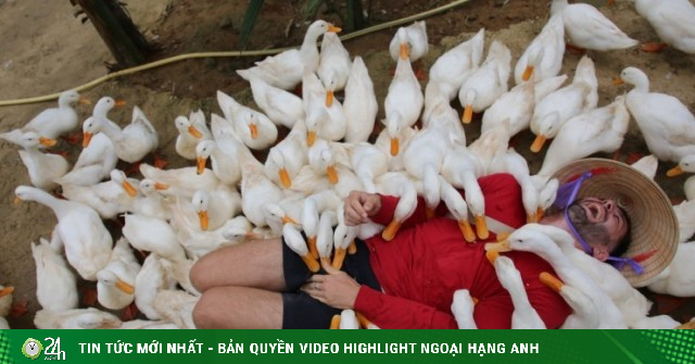 Du khách nước ngoài mê mẩn với dịch vụ massage vịt