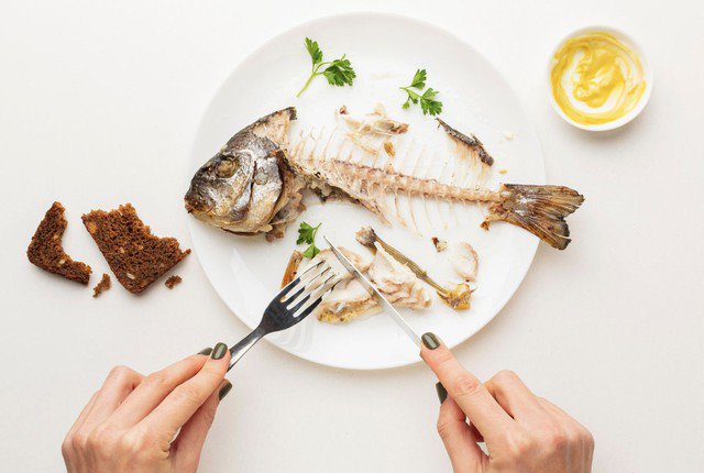 Các chuyên gia cho rằng việc duy trì thói quen ăn cá thường xuyên không chỉ tốt cho sức khỏe mà còn góp phần quan trọng giúp cơ thể sống thọ hơn. Ảnh minh họa