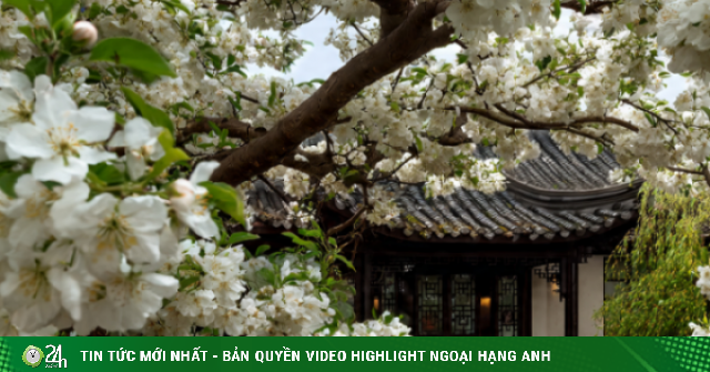 Người xưa dặn: Tiết Xuân phân tránh làm 3 việc, may mắn tràn đầy, xui xẻo tránh xa