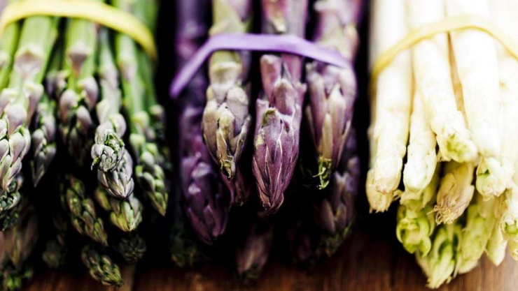 Măng tây hiện nay có 3 loại giống là măng tây xanh, măng tây trắng và măng tây tím.