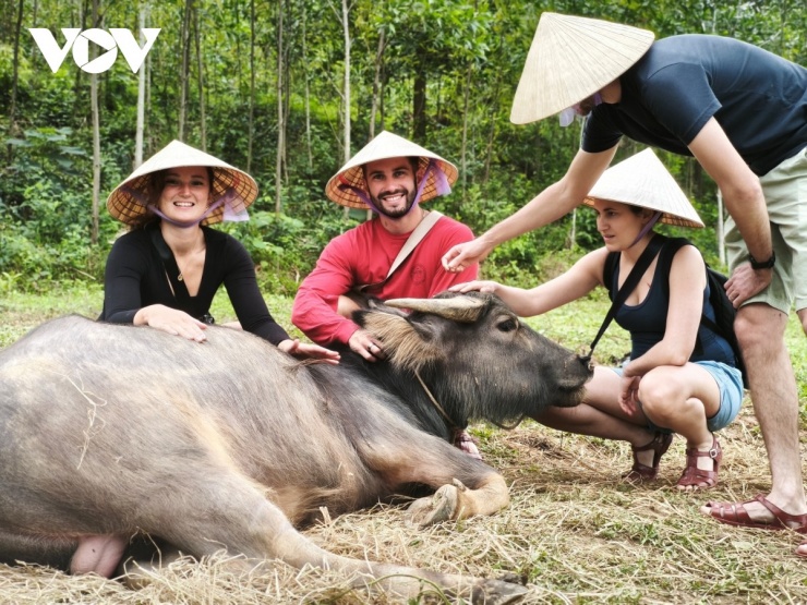 Du khách chụp ảnh bên cạnh con trâu