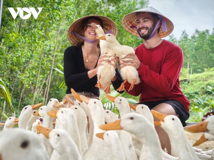 2 du khách đến từ nước Anh thích thú khi ôm những chú vịt trên tay