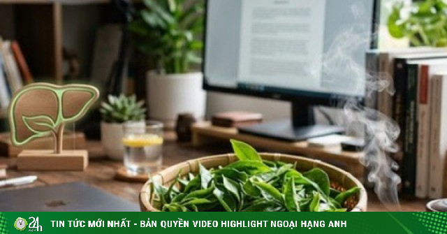 Uống lá chè tươi hay trà khô tốt hơn cho gan?