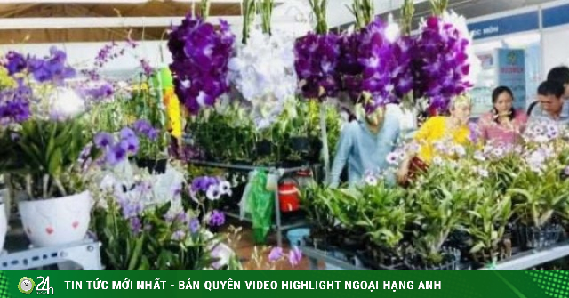 Xã Hưng Long, TPHCM (địa phận Bình Chánh trước đây), dân bỏ túi 6 tỷ/năm nhờ trồng lan bằng kỹ thuật này