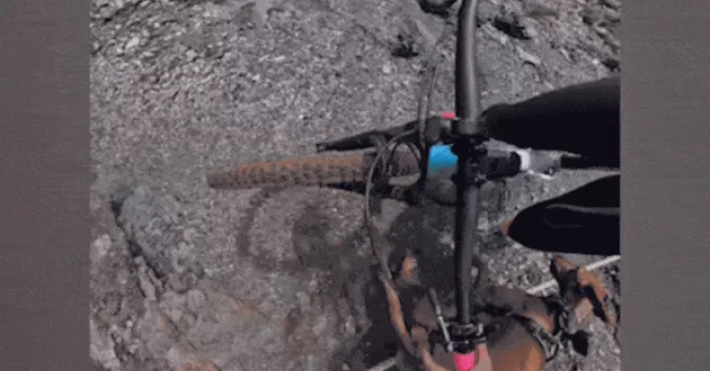 Du khách suýt rơi xuống vách đá khi đạp xe