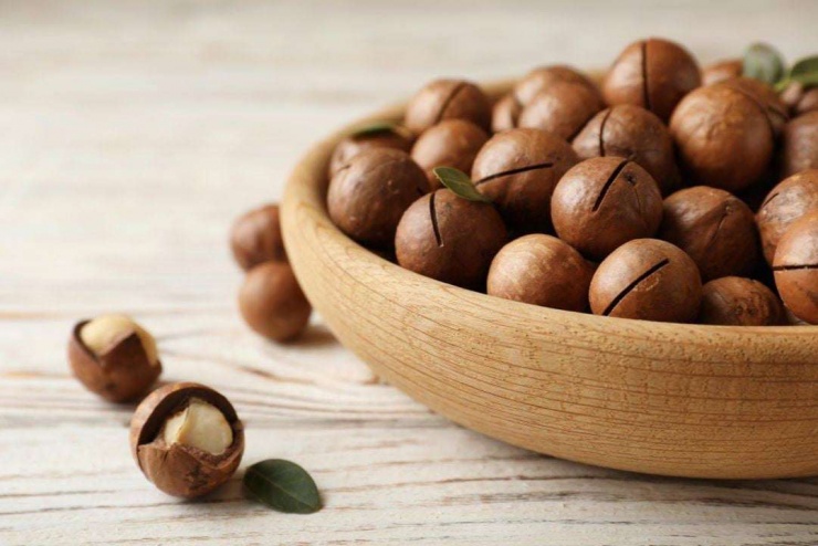 Tại Việt Nam, mắc ca được trồng khá nhiều ở khu vực Tây Nguyên, đặc biệt tại Đắk Lắk, Lâm Đồng và Gia Lai nơi có khí hậu mát mẻ và đất bazan thích hợp. Ảnh Vinmec