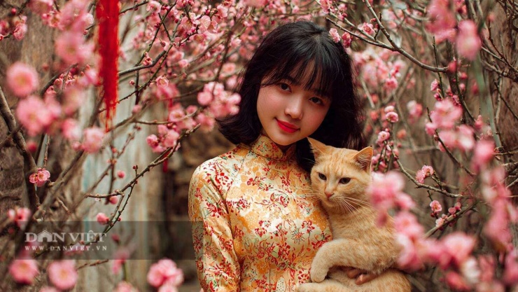 Vận may tháng 2 Âm lịch đối với con giáp tuổi Mão được đặc trưng bởi "các tương tác xã hội suôn sẻ