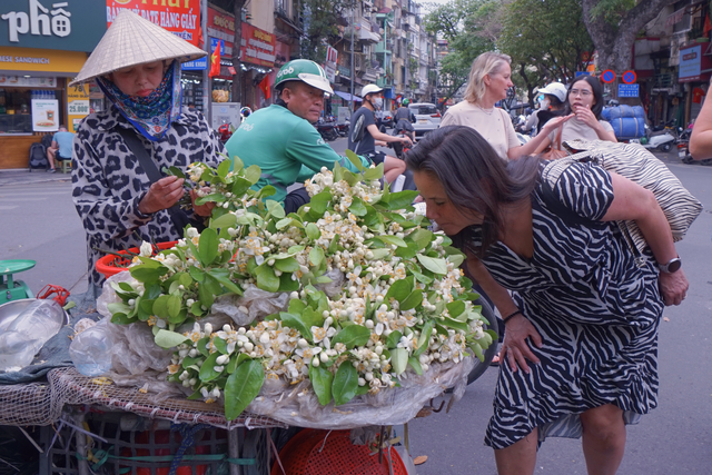 Giữa nhịp phố hối hả, hương hoa bưởi mang đến một khoảng lặng dịu êm. Những gánh hoa giản dị ấy trở thành một phần rất riêng của Hà Nội trong khúc giao mùa.
