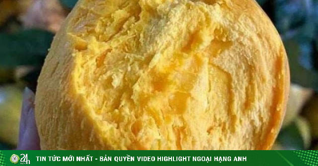Từng là loại quả dân dã ít ai để ý nay được cả thế giới chuộng, chế biến thành “siêu thực phẩm” giá gần 2 triệu đồng/kg