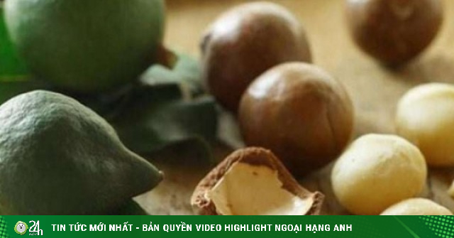 Loại hạt vừa tròn vừa béo lại vừa bùi được ví là "hoàng hậu" của các loại hạt, giá hơn 1,3 triệu đồng/kg