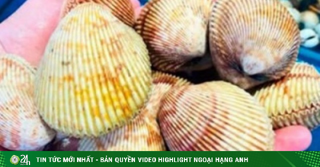 Loại hải sản có tên gọi khiến nhiều người tò mò, giá 300.000 đồng/kg