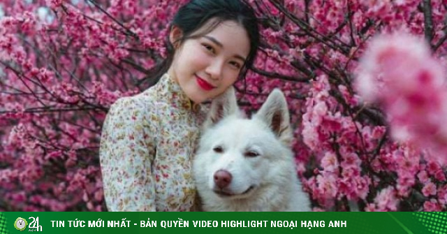 Dự báo vận mệnh 12 con giáp tháng 2 Âm lịch: Tuất bùng nổ vận may, Thân thu nhập đột phá, Sửu gặt hái mùa vàng