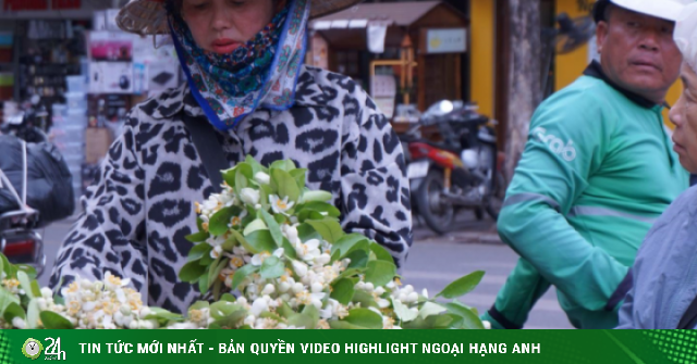 Hoa bưởi tháng Ba thơm ngát thanh tao, giá cao nhưng vẫn đắt hàng