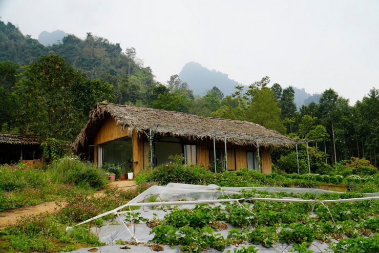 Du khách ghé bản có thể lưu trú qua đêm ở homestay, tham gia các hoạt động sinh hoạt thường nhật cùng người dân