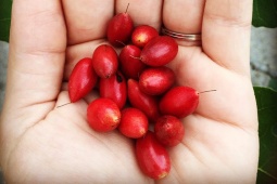 Tin tức sức khỏe - Ai mất ngủ, khó ngủ mãn tính mới hiểu được nó khổ như thế nào: Làm đúng điều này mỗi tối là ngủ khỏe ăn ngon