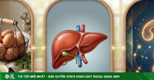 Người bị gan nhiễm mỡ có nên ăn trứng không? Thực tế nhiều người đang hiểu lầm