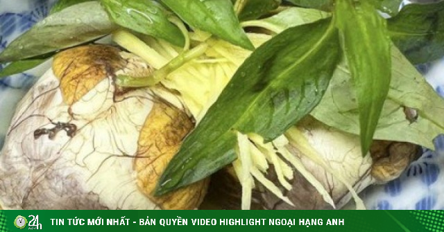 3 lưu ý khi ăn trứng vịt lộn để thực sự bổ dưỡng và tránh rủi ro sức khỏe