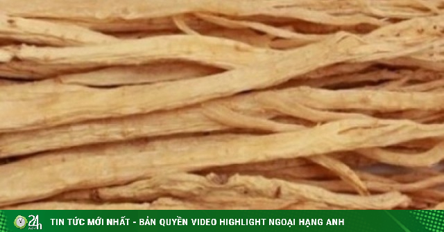 Việt Nam có “vị thuốc đại bổ”, dùng thường xuyên nâng tầm sức khỏe ít người biết
