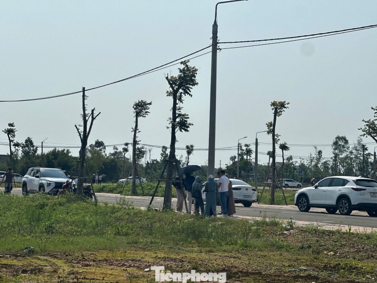 Số lượng người đến xem đất đông, chủ yếu là môi giới đầu cơ đất.