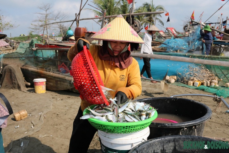 Thương lái chờ sẵn tại bến, thu mua cá ngay khi thuyền vừa cập bờ.