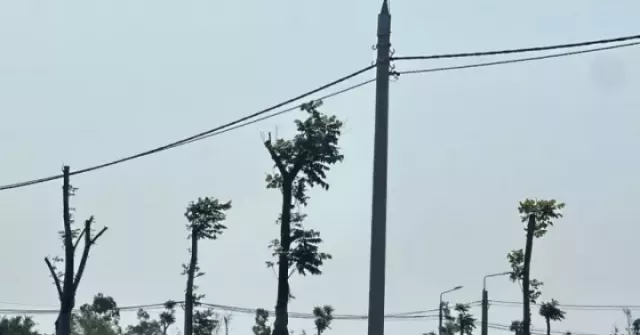 Đất nông thôn vùng quê bất ngờ 'sốt', ô tô đổ về kín đường