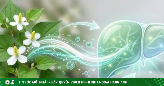 Loại rau gia vị phải 'bịt mũi' khi ăn nhưng hỗ trợ thải độc gan cực tốt