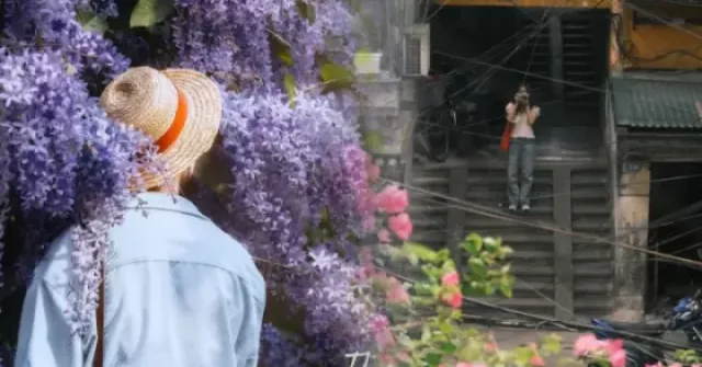 3 góc hoa đẹp nhất Hà Nội lúc này: Công viên Thống Nhất và thực vật cảnh đắt khách