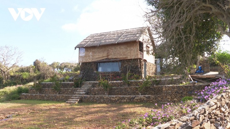 Làng Phú Hạnh còn thu hút bởi những con đường đá cổ men theo những hàng duối cổ thụ trăm tuổi tạo thành những con đường độc nhất vô nhị in dấu thời gian