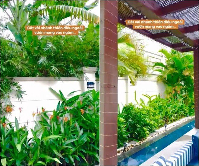 Khu vườn bao quanh nhà tràn ngập sắc xanh của các loại cây nhiệt đới, mang đến cảm giác thư thái và nguồn năng lượng tươi mới cho gia chủ mỗi buổi sớm mai.