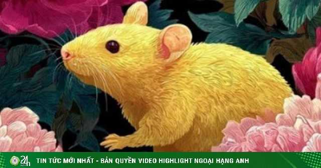 Trẻ khó khăn đừng vội nản: 3 con giáp này lớn tuổi mới phát tài