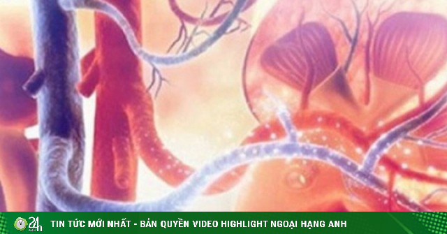 Loại rau tưởng tốt nhưng làm tăng nguy cơ suy thận, người Việt cần biết để ăn cho đúng