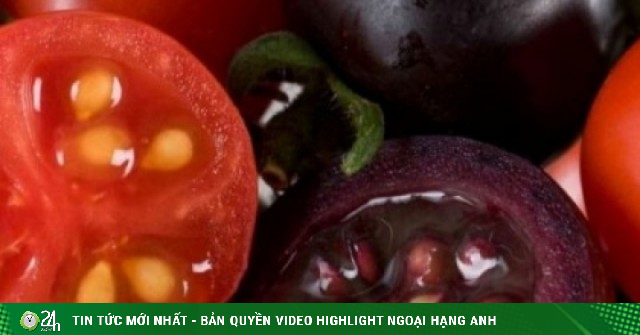 “Ngôi sao chống lão hóa” ăn một chút mỗi ngày giúp ngừa ung thư, ngăn đột quỵ