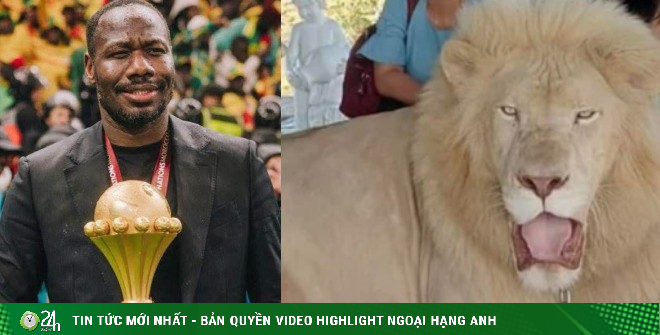 ĐT Senegal đưa cúp vô địch CAN từ trại lính tới chuồng sư tử, thách "trùm" châu Phi tới lấy