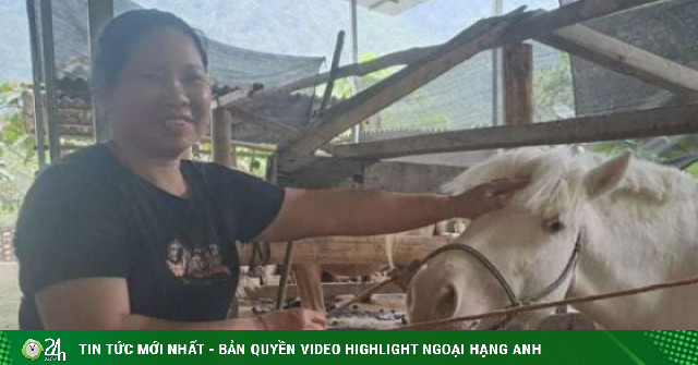 Ở Thái Nguyên (địa phận Bắc Kạn), dân nuôi con vật to lớn này, là “đặc sản dược liệu”, nuôi thêm con gì càng ra tiền?