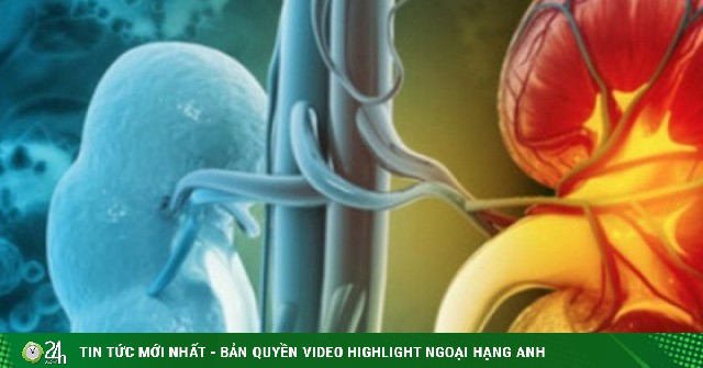 Thói quen ăn uống tăng nguy cơ suy thận, nhiều người Việt đang mắc phải mà không biết