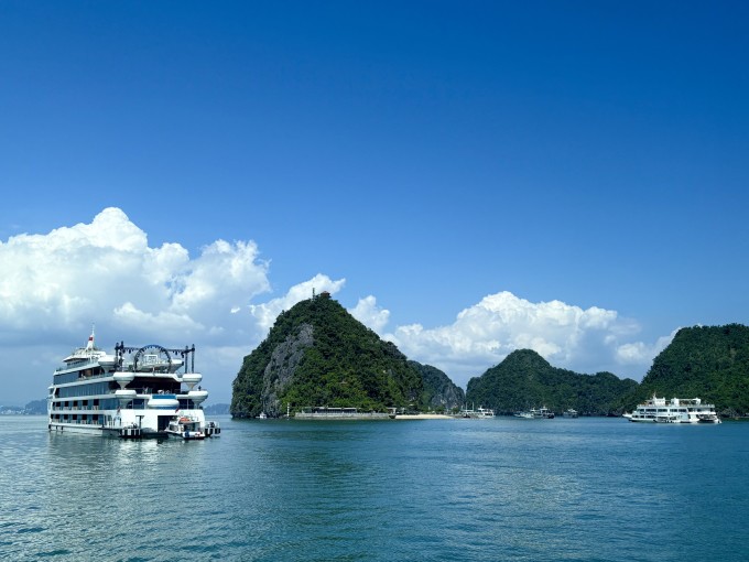 Thảo Nhi